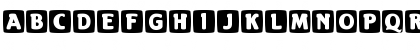 EitokuIniD Regular Font EitokuIniD Regular Font