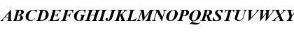 Eylem  Roman Bold Italic Font