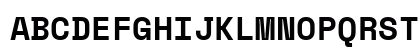SpaceMono NF Bold