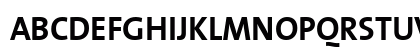 TheSansBold Plain