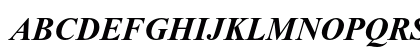 Times New Roman Bold Italic Times New Roman Bold Italic