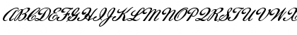 FZ SCRIPT 22 ITALIC Normal Font