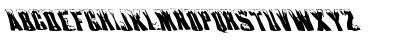 FZ WARPED 22 LEFTY Normal Font