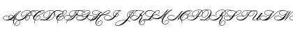HeddyOpti-Script Script Font HeddyOpti-Script Script Font