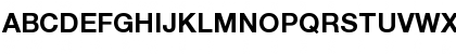 Helvetica Neue Bold Font