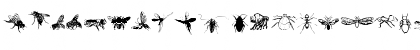 Insects Regular Font Insects Regular Font