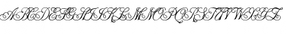 ITFChampagneScript Regular Font ITFChampagneScript Regular Font