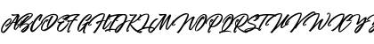 the Woofey Script Regular Font the Woofey Script Regular Font