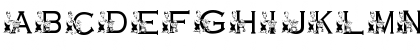 KG GROCERY Regular Font