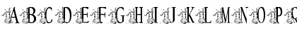 KGKATZ2 Regular Font