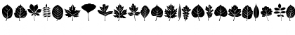 Leaves Medium Font Leaves Medium Font