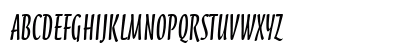 ScarboroughITC TT Regular