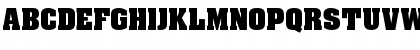 Maltaard Bold Font