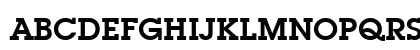 SquareSerif Bold SquareSerif Bold