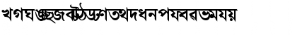 AkrutiBngBharati Bold Font AkrutiBngBharati Bold Font