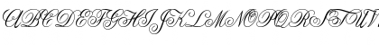 Anglia Script Concise Regular Font