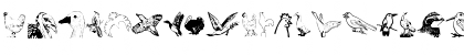 AnimalsAnimalsBirds Regular Font