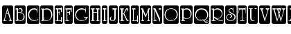 a_RomanusTtlCmD5Cb Regular Font