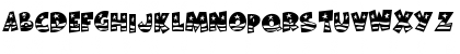 BodieMF Flag Font