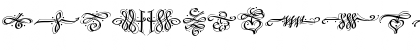 DF Calligraphic Ornaments LET Plain Font