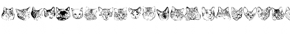 KittyPrint AOE Regular Font