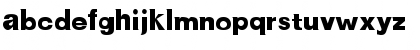 NewBold Bold Font