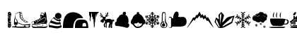 Winter Icons Regular