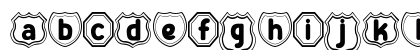 Zany Route Badge Regular