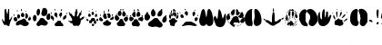 AnimalTracks Regular Font