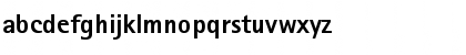 ATRotisSansSerif Regular Font