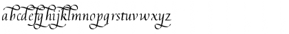 Augusta Schnurkl Std Regular Font