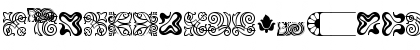 Borders Ornaments P03 Regular Font