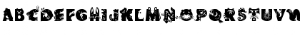 Critter Regular Font