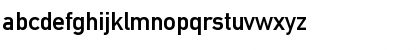 DINSchrift Regular Font