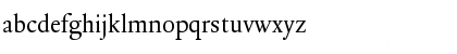 DTLElzevirS Regular Font
