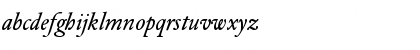 DTLElzevirSTBook Italic Font
