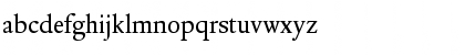 DTLElzevirSTBook Regular Font