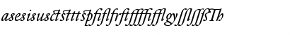 DTLElzevirTBookAlternate Italic Font