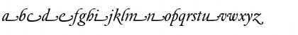 DTLElzevirTSwash Italic Font