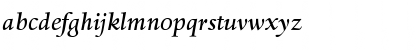 DTLHaarlemmerSD MediumItalic Font