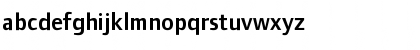 FoundryFormSans DemiOSF Font