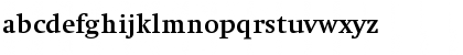 HeidelbergAntiqua ExtraBold Font HeidelbergAntiqua ExtraBold Font