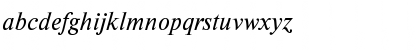 NewtonC Italic Font