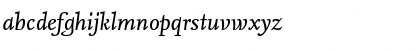 NexusSerifTF-Italic Regular Font NexusSerifTF-Italic Regular Font