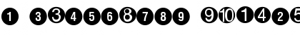 Numerics P05 Font