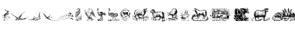 Animals Old Cuts Two Regular Font