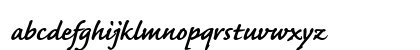 CaflischScript Regular Bold Italic