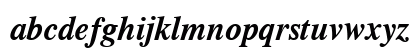 CG Times Bold Italic CG Times Bold Italic