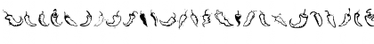 Chili Pepper Dingbats Regular Font Chili Pepper Dingbats Regular Font