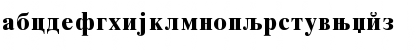 CTimes Bold Regular Font CTimes Bold Regular Font